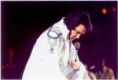 /album/elvis-fotos/a21sept5a-jpg/