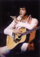 /album/elvis-fotos/i77303694-85375-7-jpg/