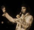/album/elvis-fotos/internetexplorerwallpaper-jpg/
