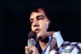/album/elvis-fotos/ogaaahipw9ms2fhvnlzsq6zmisdjnfj0hhgfu-eokl0jua9sy5n5z5-isw8zth1qgj5rwswr905kec-0kopikjif45sam1t1ugb20akiiasl9wyg-vssi9fmxhas-jpg/
