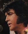 /album/elvis-fotos/ogaaapgmsexcjazq-zppuobzc4bpsffp0ln0fyfk-qlx2cgxymbpy45rttqundeqp5kze2z-0lfvqziynzkp5-x-ussam1t1ujn4mpqqmnjw1j6ofpdcnxe6kozf-jpg/