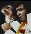 /album/elvis-fotos/w20aloha20ring20vermeil20web20pictu-jpg/