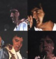 /album/elvis-fotos/a0009-jpg/