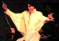 /album/elvis-fotos/a104-jpg/